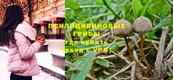 ECSTASY Иннополис