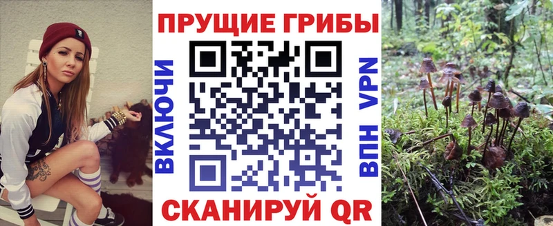 Галлюциногенные грибы GOLDEN TEACHER  Купить закладки  Дрезна 